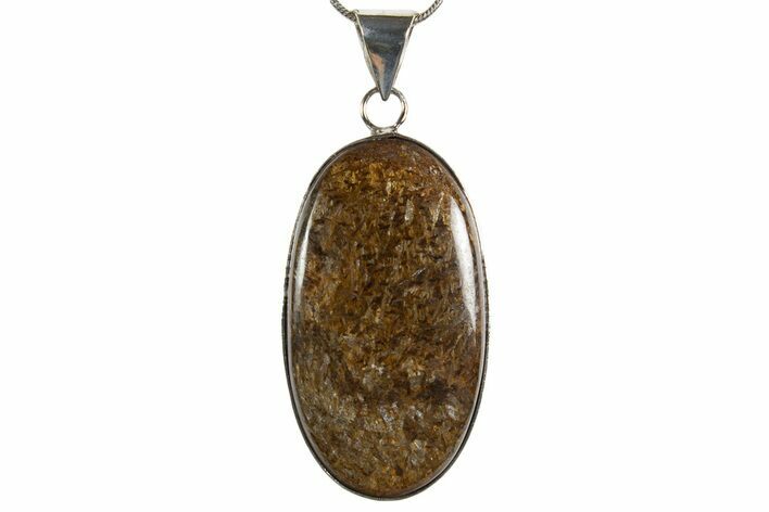 Shimmering Bronzite Pendant (Necklace) #345311